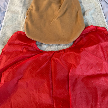 Kids rudolph outfit *Preowned*