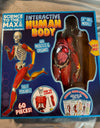 Interactive human body