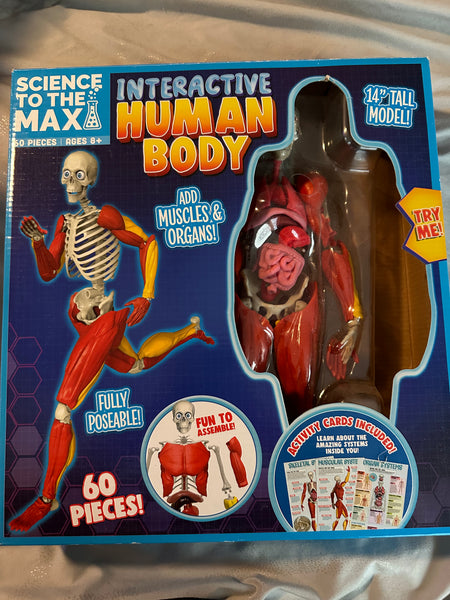Interactive human body