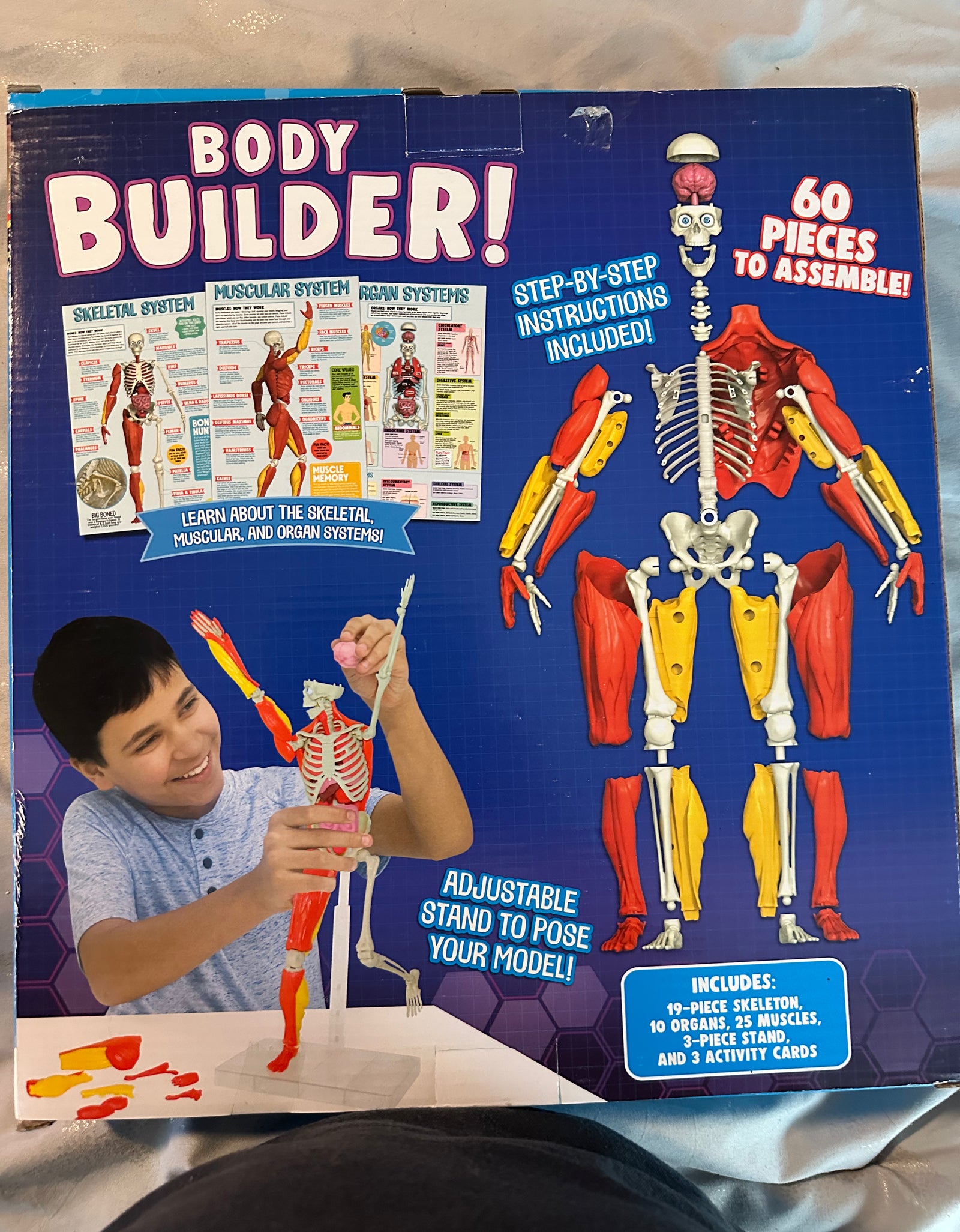 Interactive human body