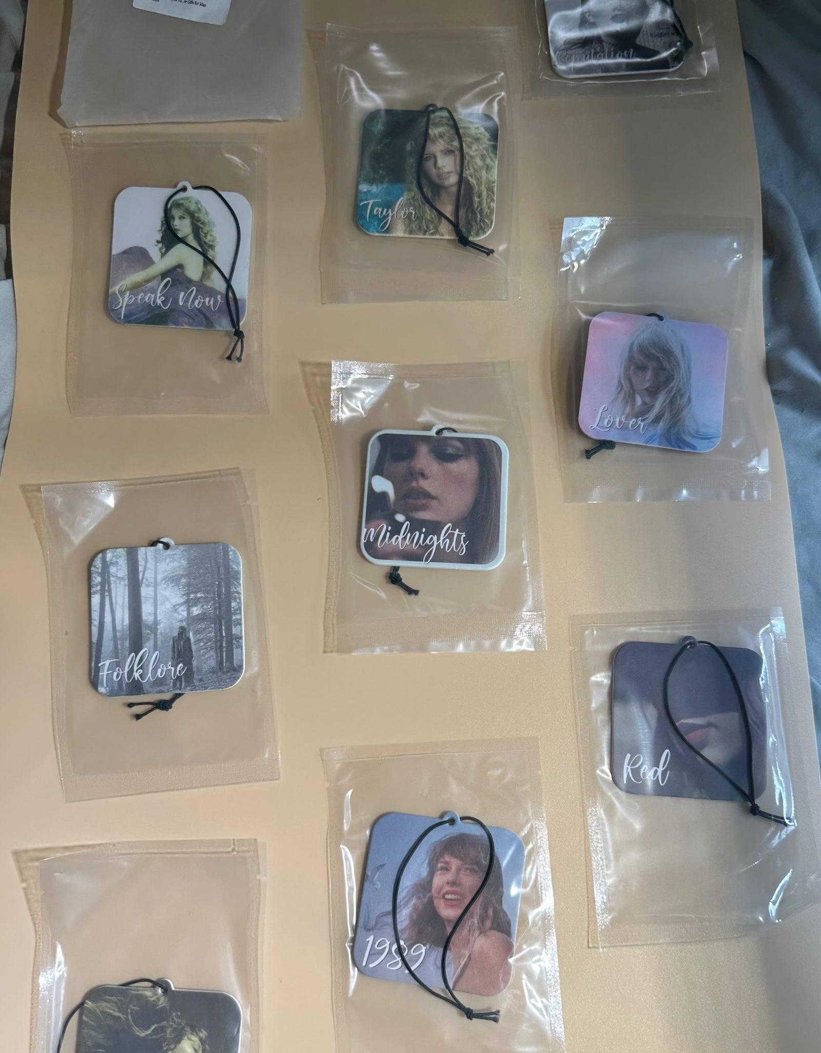 Taylor Swift decor *Preowned*