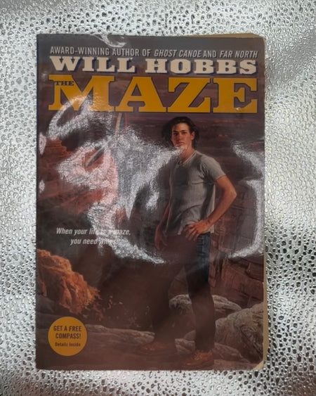 The Maze book *Preowned*