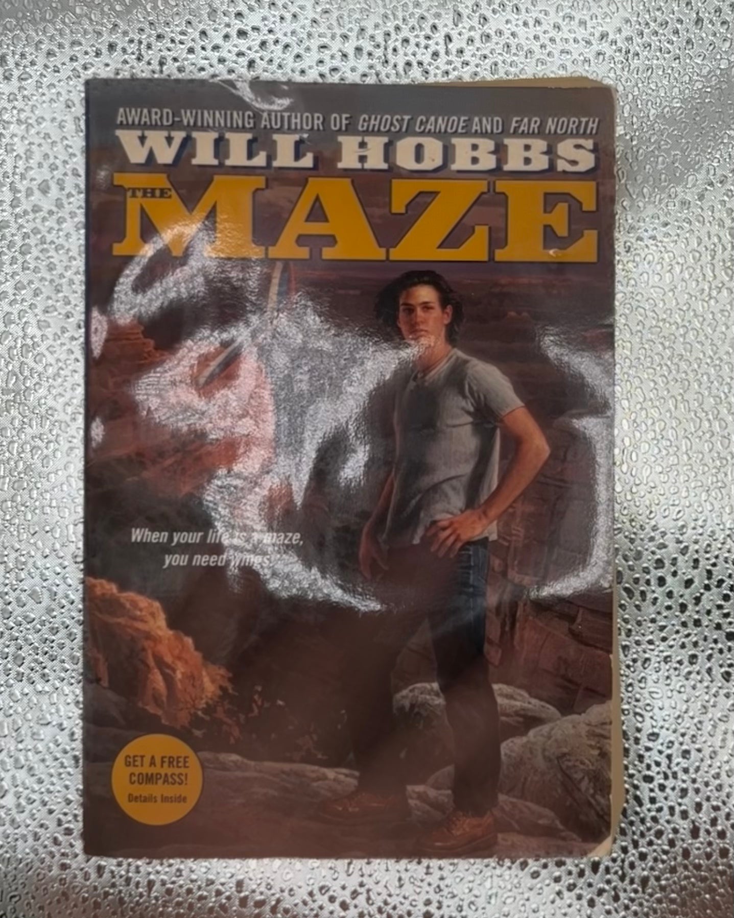 The Maze book *Preowned*