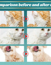 See8946ce7d3648c8a1edd5de23ee0b452