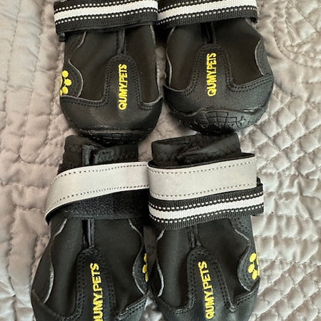 Dog shoes size 4