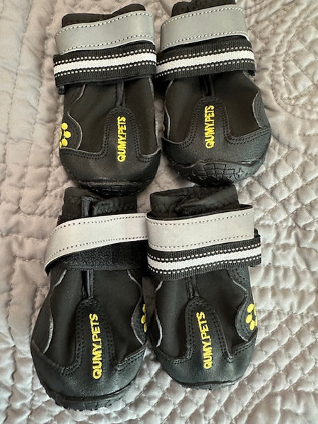 Dog shoes size 4